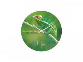 Часы настенные Nicole Time NT503 в Болотном - bolotnoe.mebel-nsk.ru | фото