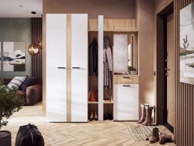 Модульная прихожая Санса (дуб сонома/белый) в Болотном - bolotnoe.mebel-nsk.ru | фото